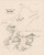 Cobscook Bay, Maine, 1836 - Old Map Reprint - 1843 USA Regional Atlas Section 8 Cobscook Bay, Maine, 1836 - Old Map Reprint - 1843 USA Regional Atlas Section 8