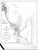 Edgartown Harbor 1894 A Old Map Nautical Chart AC Harbors 2 346 - Massachusetts
