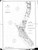 Point Arena 1889 BW - Old Map Nautical Chart PC Harbors 661 - California