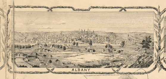 Albany Village Picture, New York 1854 Old Town Map Custom Print - Albany Co.