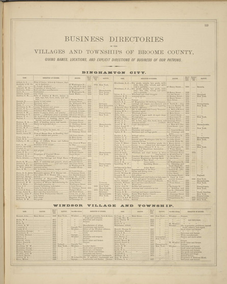 Business Directories - Binghamton, Windsor, New York 1876 - Old Town Map Reprint - Broome Co. Atlas 113