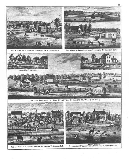 Picture Gregg, Ohio 1879 - Old Town Map Reprint - Wyandot County Atlas 59