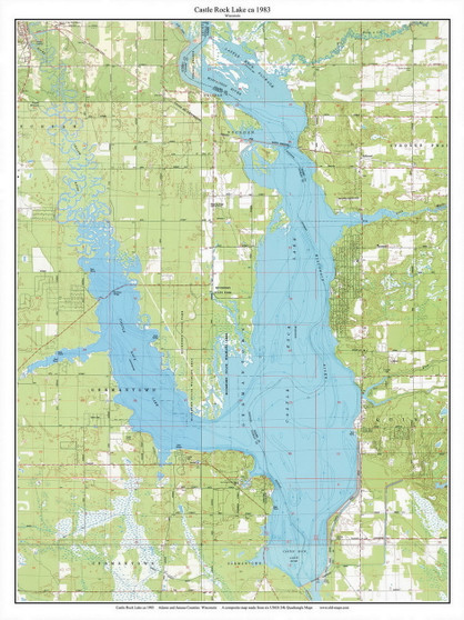 Castle Rock Lake 1983 - Custom USGS Old Topo Map - Wisconsin 1