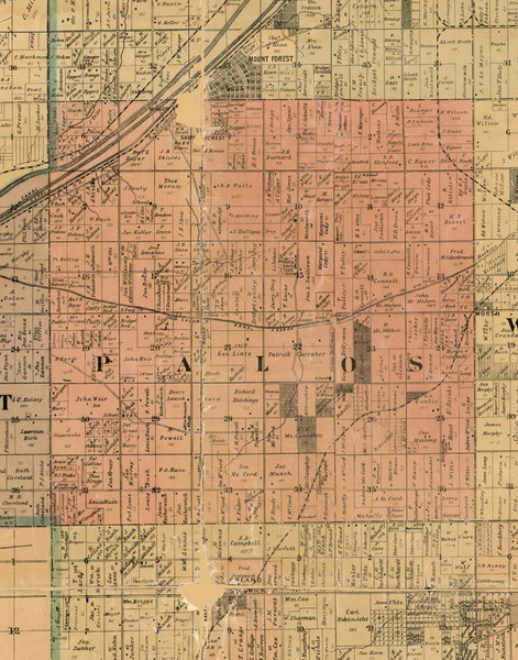 Palos, Illinois 1898 Old Town Map Custom Print - Cook Dupage Will Cos.