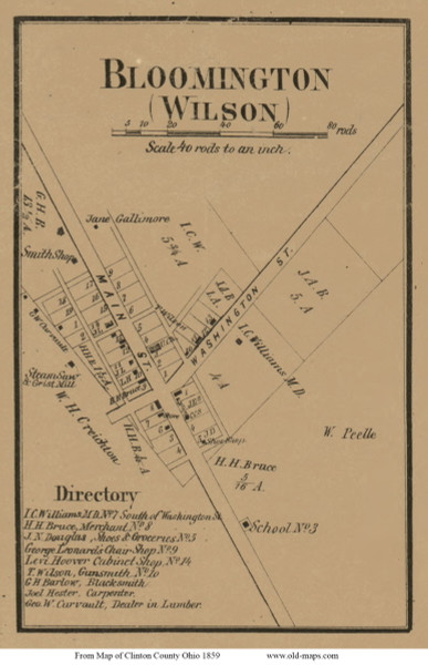 Bloomington - Wilson, Ohio 1859 Old Town Map Custom Print - Clinton Co. Bloomington - Wilson, Ohio 1859 Old Town Map Custom Print - Clinton Co.