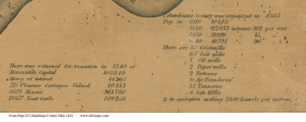 Statistics 2 - Columbiana Co., Ohio 1841 Old Town Map Custom Print - Columbiana Co.