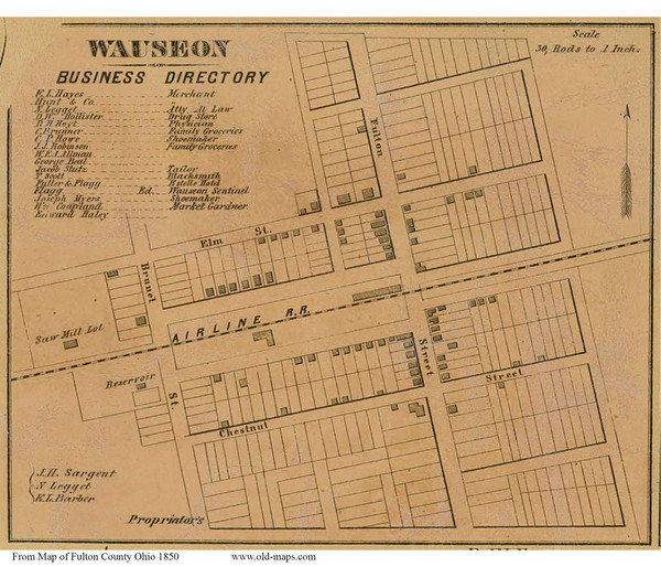 Wauseon - Clinton, Ohio 1850 Old Town Map Custom Print - Fulton Co.
