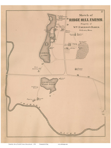 Ridge Hill Farms - Needha,, Massachusetts 1876 Old Town Map Reprint - Norfolk Co.