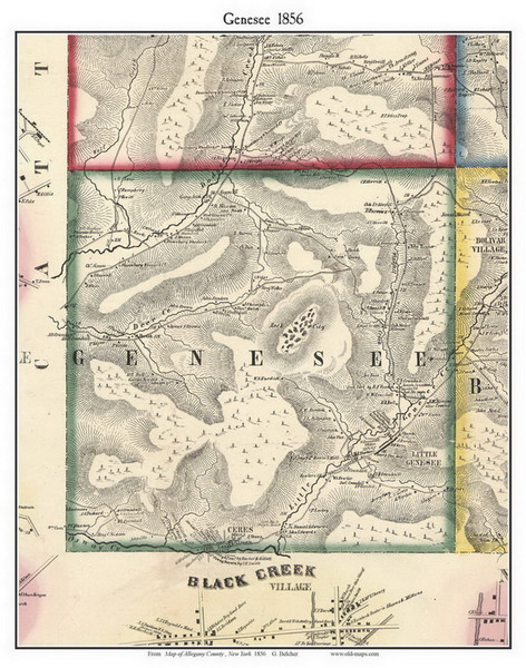Genesee, New York 1856 Old Town Map Custom Print - Allegany Co.