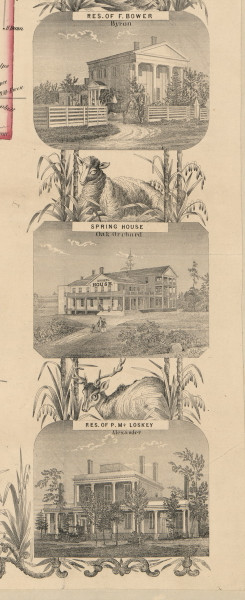 Border - Right Portion 1, New York 1854 Old Town Map Custom Print - Genesee Co. Border - Right Portion 1, New York 1854 Old Town Map Custom Print - Genesee Co.