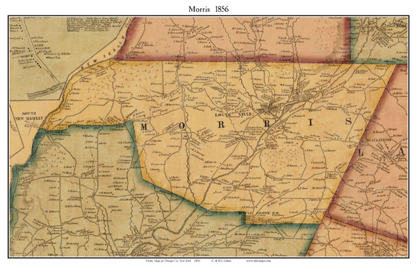 Morris, New York 1856 Old Town Map Custom Print - Otsego Co.