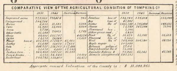 Agricultural Conditions, New York 1853 Old Town Map Custom Print - Tompkins Co.