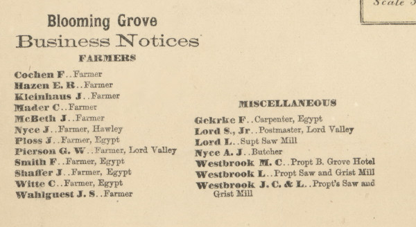 Blooming Grove Business Notices - Blooming Grove Township, Pennsylvania 1872 Old Town Map Custom Print - Pike Co.