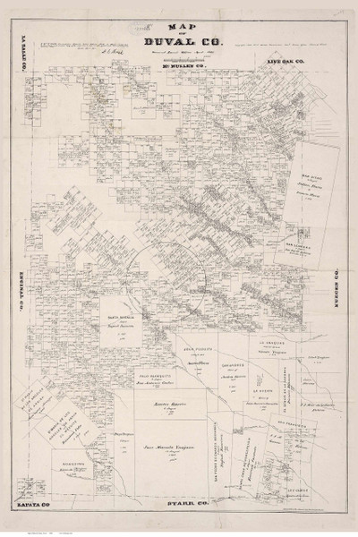Duval County Texas 1880 - Old Map Reprint