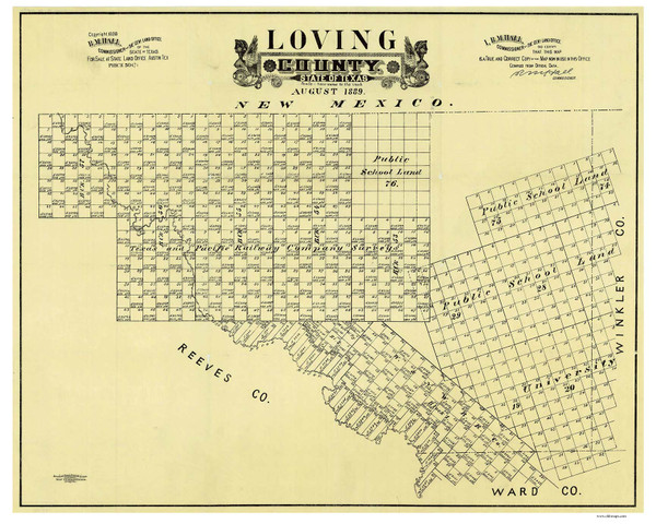 Loving County Texas 1889 Copy A - Old Map Reprint