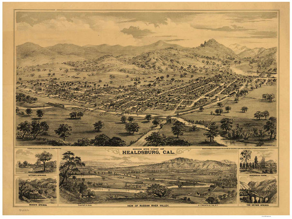 Healdsburg, California 1876 Bird's Eye View