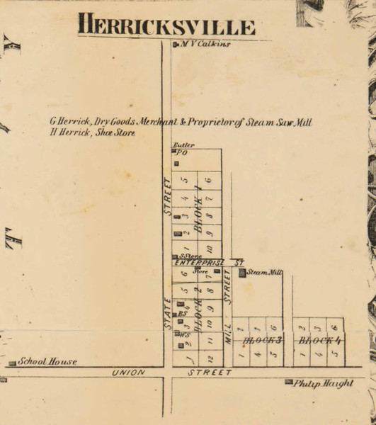 Herricksville, Michigan 1858 Old Town Map Custom Print - Branch Co.