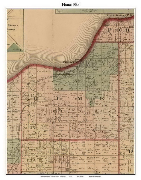 Hume, Michigan 1875 Old Town Map Custom Print - Huron Co.