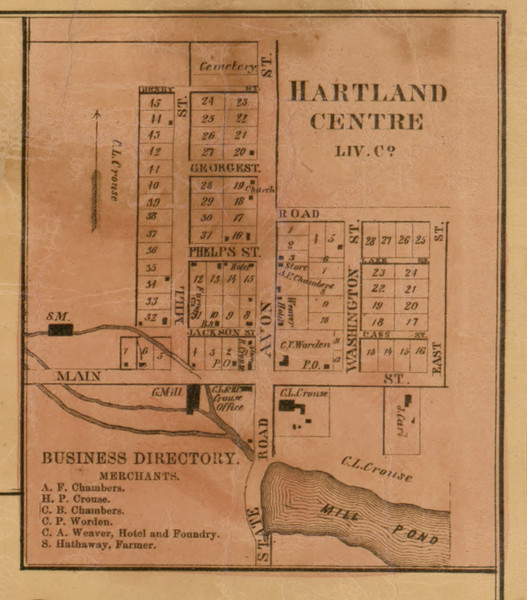Hartland Centre, Michigan 1859 Old Town Map Custom Print - Livingston Co.