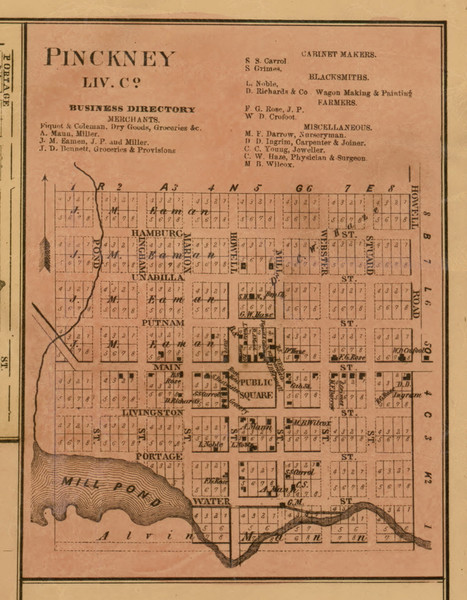Pickney, Michigan 1859 Old Town Map Custom Print - Livingston Co.