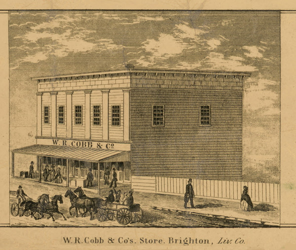 W.R. Cobb & Co's Store, Michigan 1859 Old Town Map Custom Print - Livingston Co.