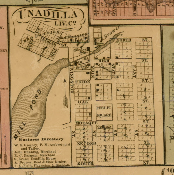 Unadilla Village, Michigan 1859 Old Town Map Custom Print - Livingston Co.