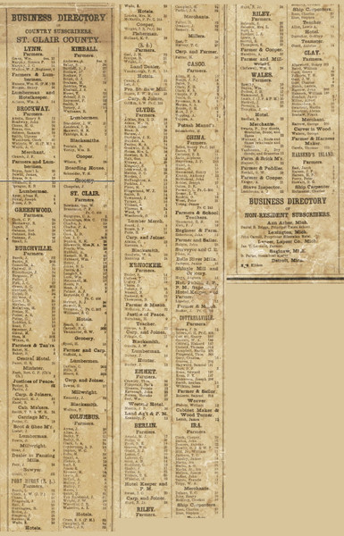 Business Directory, St. Clair County, Michigan 1859 Old Town Map Custom Print -