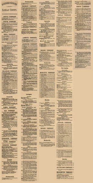 Business Directory, Sanilac County, Michigan 1876 Old Town Map Custom Print -