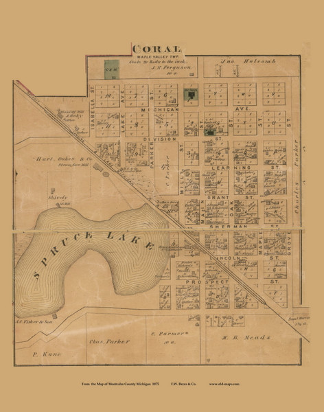 Carol Village, Maple Valley, Michigan 1875 Old Town Map Custom Print - Montcalm Co.