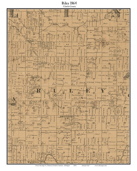 Riley, Michigan 1864 Old Town Map Custom Print - Clinton Co.