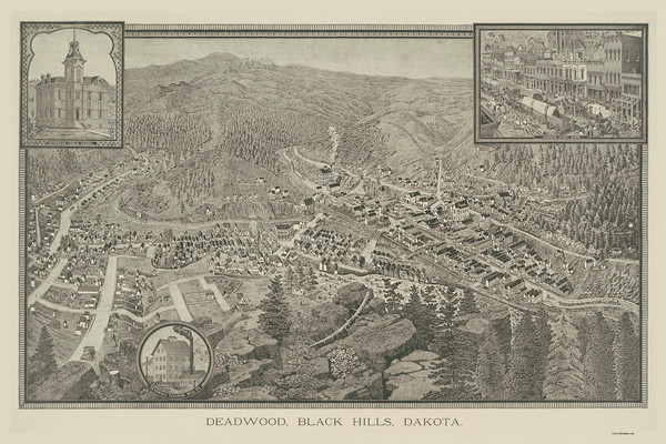 Deadwood, South Dakota 1884 Bird's Eye View