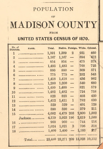 Population Statistics, Madison County, Tennessee 1877 Old Town Map Custom Print