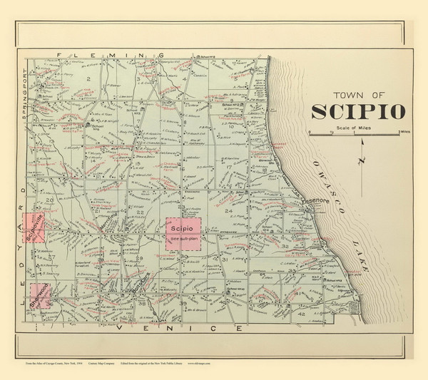 Scipio, New York 1904 - Old Town Map Reprint - Cayuga Co. Atlas 72
