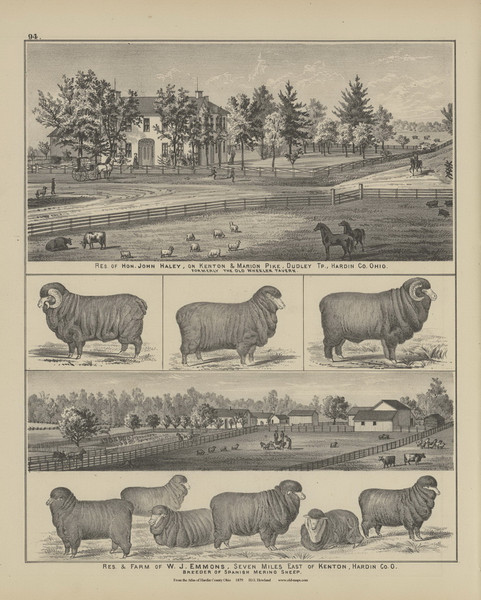 Residences & Farms of W.J. Emmons & John Haley - Ohio 1879 Old Town Map Custom Reprint - Hardin Co. Atlas 94