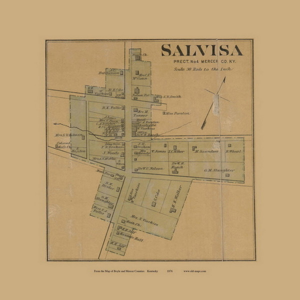 Salvisa Village - Precinct 4 - Mercer County, Kentucky 1876 Old Town Map Custom Print - Mercer Co.