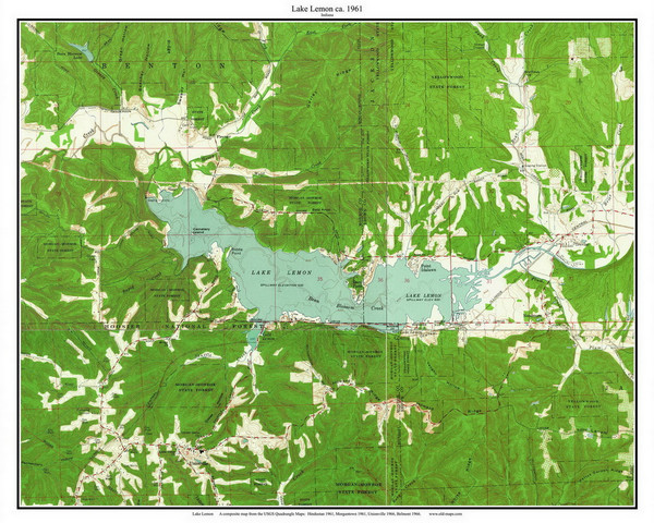 Lake Lemon 1961 - Custom USGS Old Topo Map - Indiana
