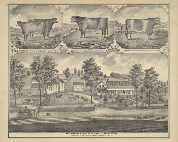 Residence & Dairy Farm of George Schermerhorn, New York 1876 - Old Town Map Reprint - Broome Co. Atlas 71