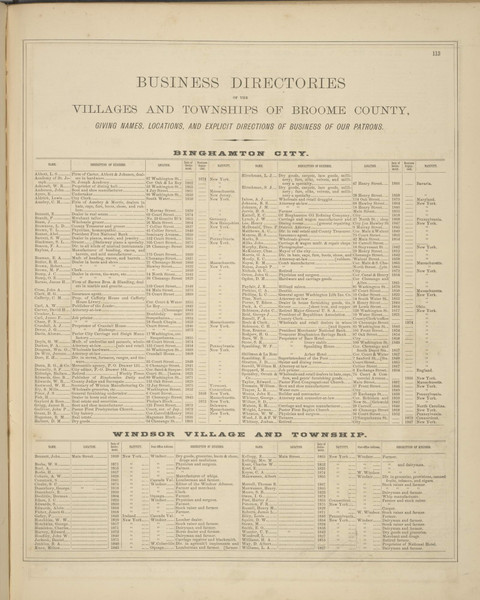 Business Directories - Binghamton, Windsor, New York 1876 - Old Town Map Reprint - Broome Co. Atlas 113