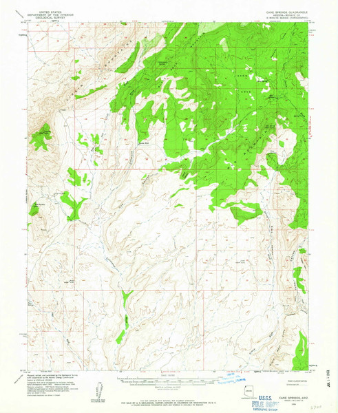 Cane Springs, Arizona 1954 (1963) USGS Old Topo Map Reprint 15x15 AZ Quad 314451