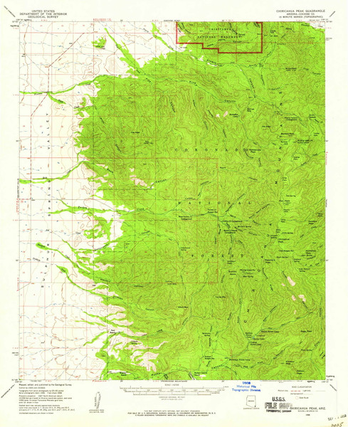 Chiricahua Peak, Arizona 1958 (1958) USGS Old Topo Map Reprint 15x15 AZ Quad 314469