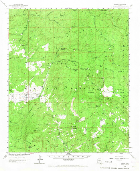 Young, Arizona 1961 (1967) USGS Old Topo Map Reprint 15x15 AZ Quad 315211