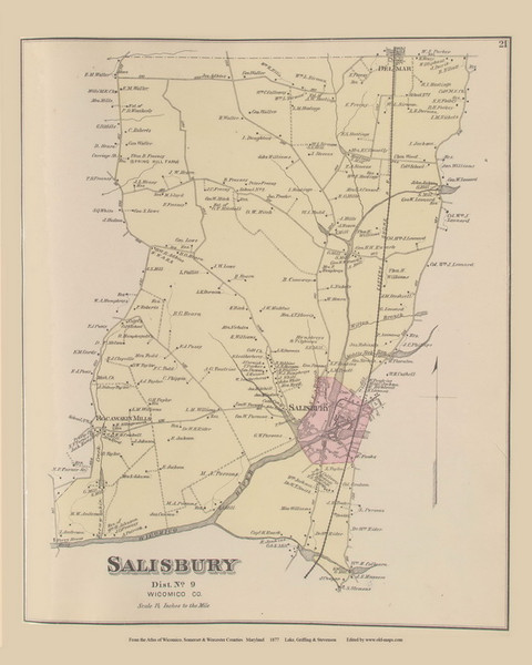 Salisbury - District 9, Maryland 1877 Old Town Map Custom Print - Wicomico Co.