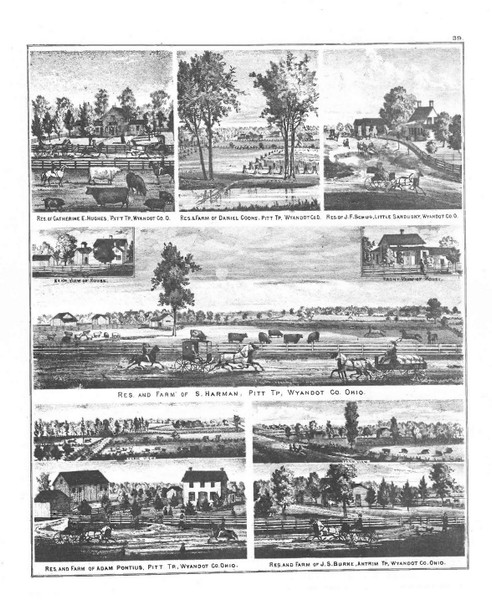 Picture Hughes, Ohio 1879 - Old Town Map Reprint - Wyandot County Atlas 29