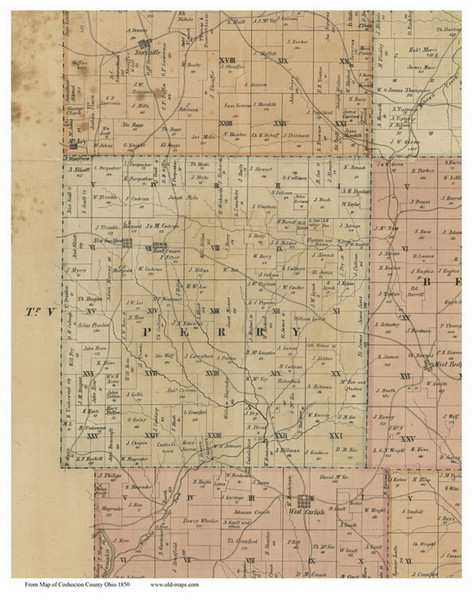 Perry, Ohio 1850 Old Town Map Custom Print - Coshocton Co.