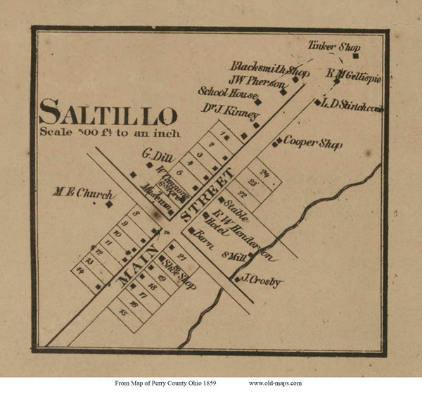 Saltillo - Clayton, Ohio 1859 Old Town Map Custom Print - Perry Co. Saltillo - Clayton, Ohio 1859 Old Town Map Custom Print - Perry Co.