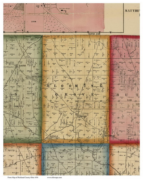 Blooming Grove, Ohio 1856 Old Town Map Custom Print - Richland Co.