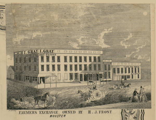 Farmer's Exchange - Wayne Co., Ohio 1856 Old Town Map Custom Print - Wayne Co.