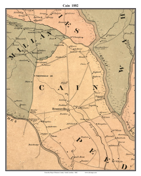 Cain, South Carolina 1882 Old Town Map Custom Print - Marion Co.