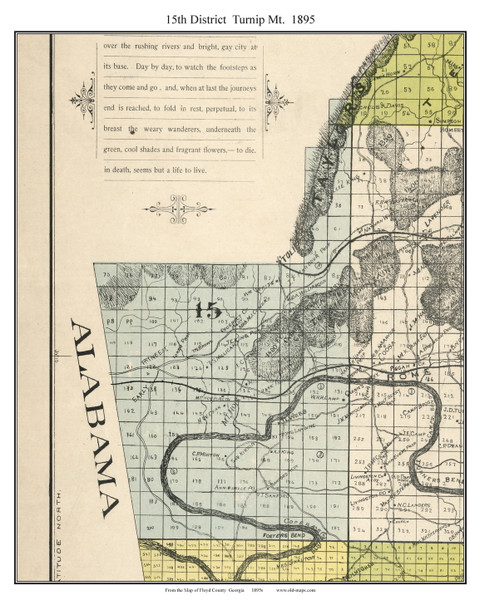 15th District Turnip Mt., Georgia 1895 Old Town Map Custom Print - Floyd Co. 15th District Turnip Mt., Georgia 1895 Old Town Map Custom Print - Floyd Co.