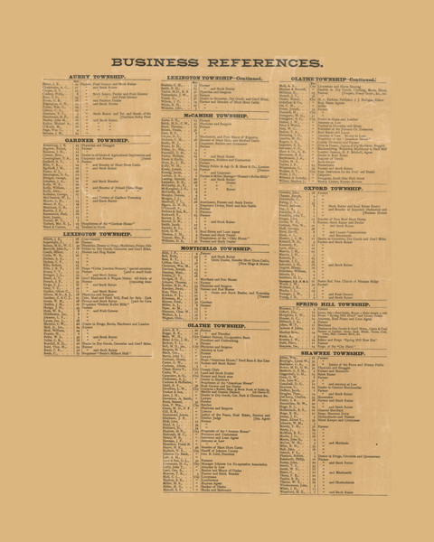 Business Directory, Kansas 1886 Old Town Map Custom Print - Johnson Co.